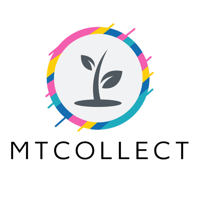 Logo MT COLLECT